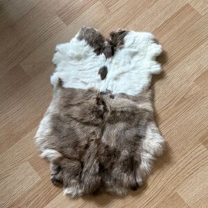 Real rabbit pelt
